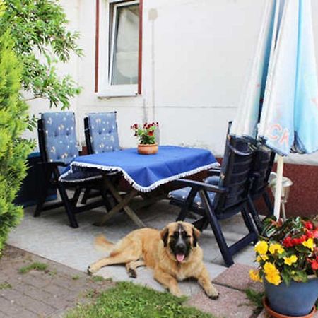 Isabell Apartment Zinnowitz Bagian luar foto