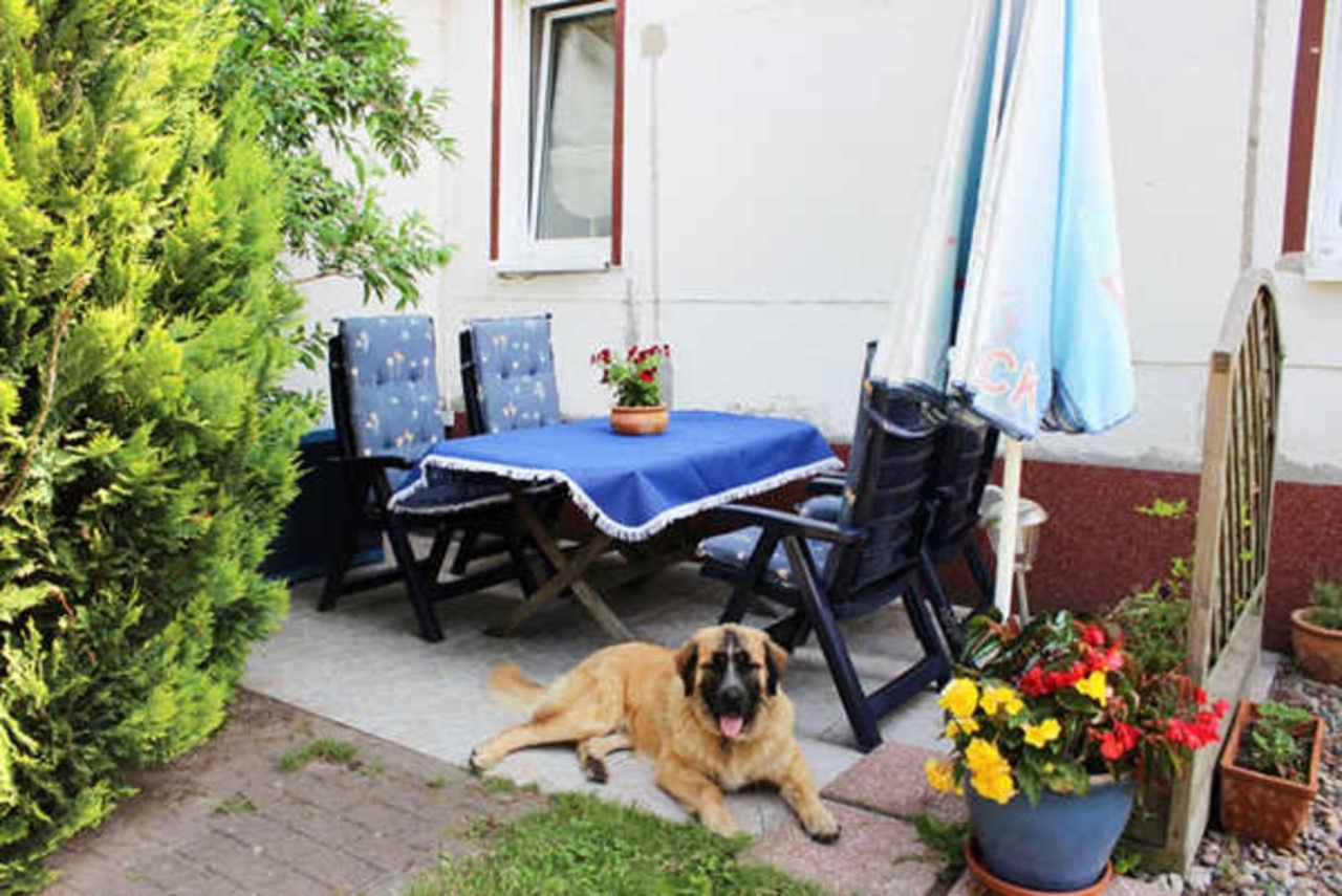 Isabell Apartment Zinnowitz Bagian luar foto